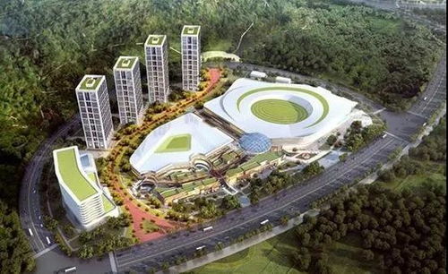 武漢躋身全球二線城市 運動項目經(jīng)營迎來新機(jī)遇